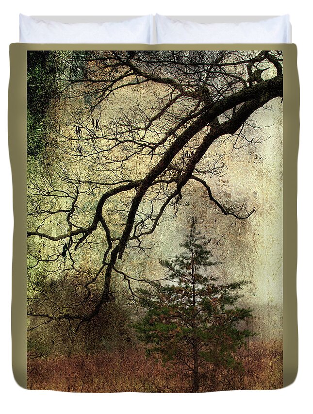 Pine Tree Duvet Cover featuring the photograph November Mood by Michael Eingle
