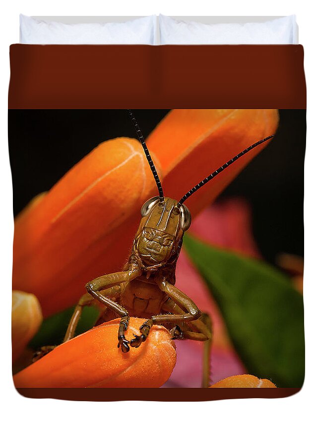 Grasshoppers Duvet Cover featuring the photograph Now Lets Pray 666. by Kevin Chippindall