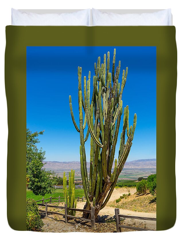 California Duvet Cover featuring the photograph Now That's a Cactus by Derek Dean