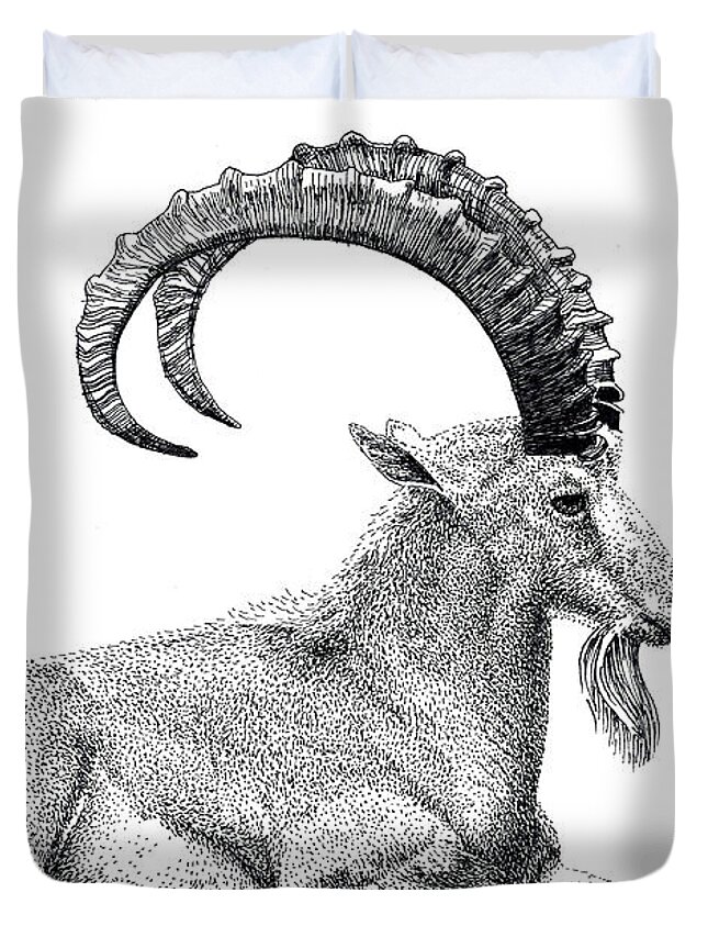 Nubian Ibex Duvet Cover featuring the drawing Nubian Ibex by Scott Woyak