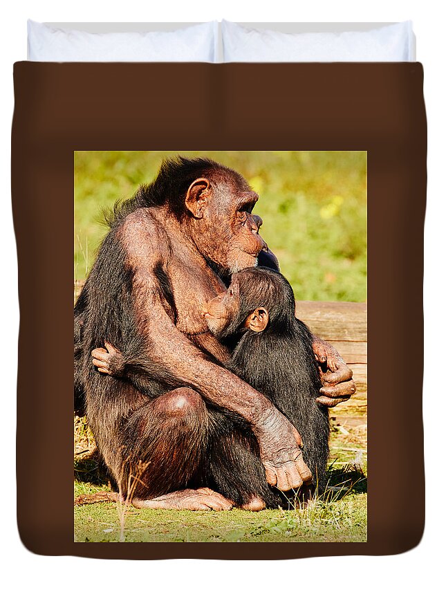 Nursing Duvet Cover featuring the photograph Nursing chimpanzee by Nick Biemans