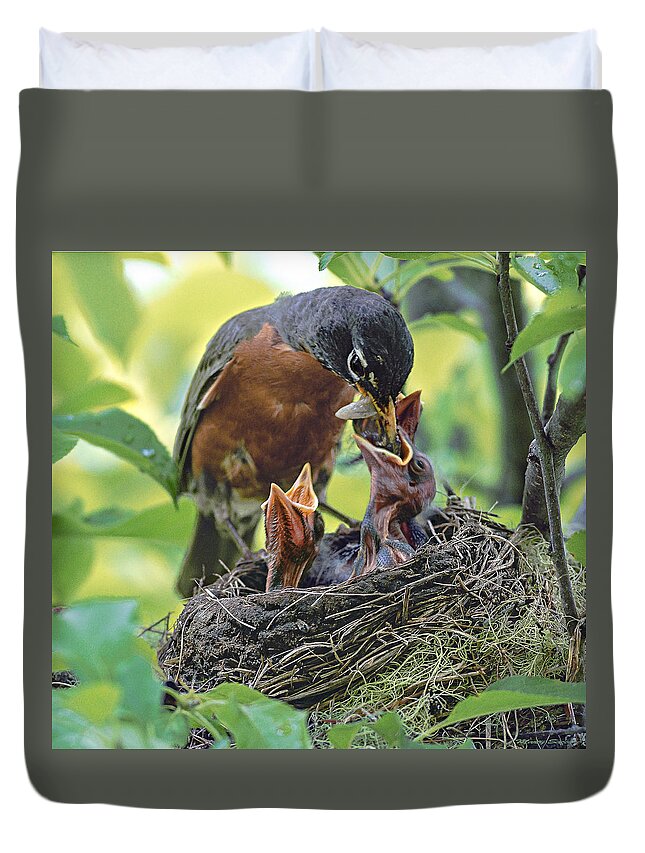 Nurture Duvet Cover featuring the photograph Nurturing The Little Ones by Marty Saccone