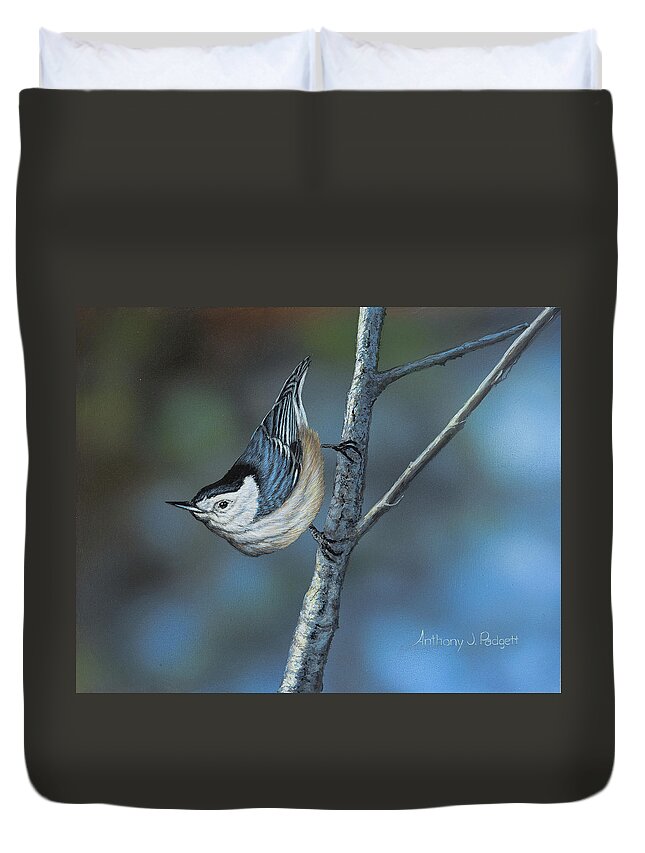 Nuthatch Duvet Cover featuring the painting Nuthatch by Anthony J Padgett