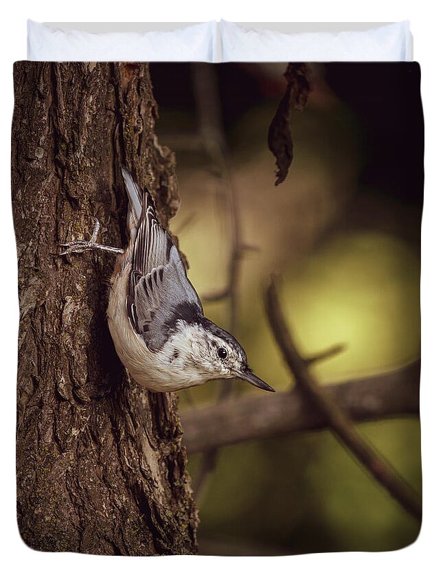 White Breasted Nuthatch Duvet Cover featuring the photograph Nuthatch Morning by Bob Orsillo