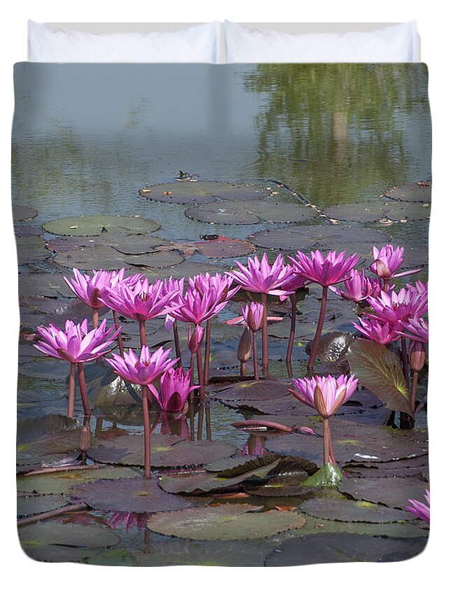Temple Duvet Cover featuring the photograph Nymphaea Water Lily DTHST0079 by Gerry Gantt
