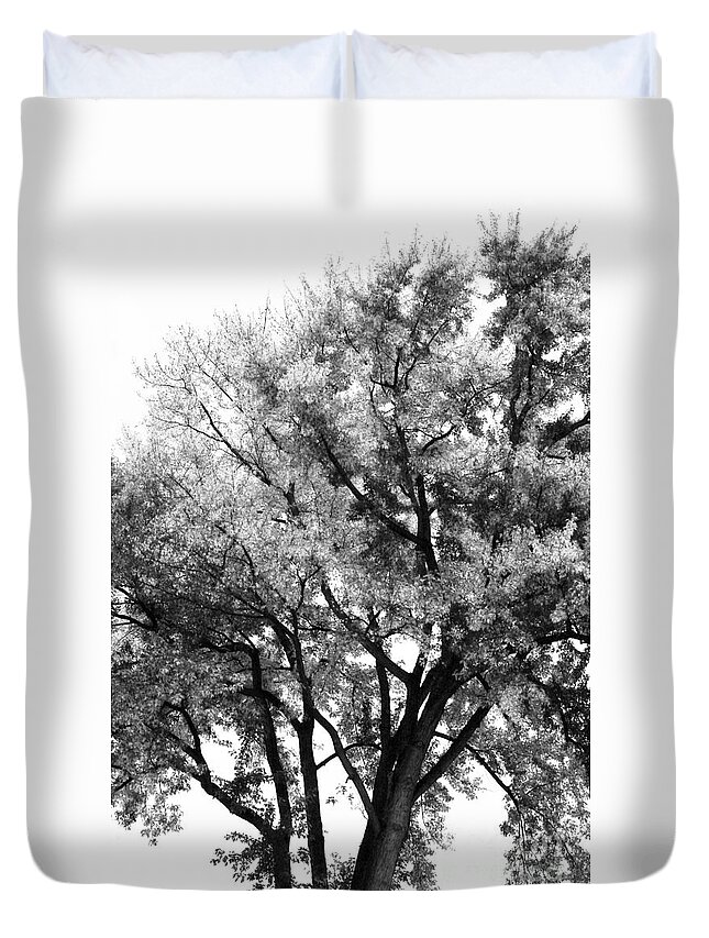 Tree Duvet Cover featuring the photograph Oak in Autumn Black and White by Angela Rath