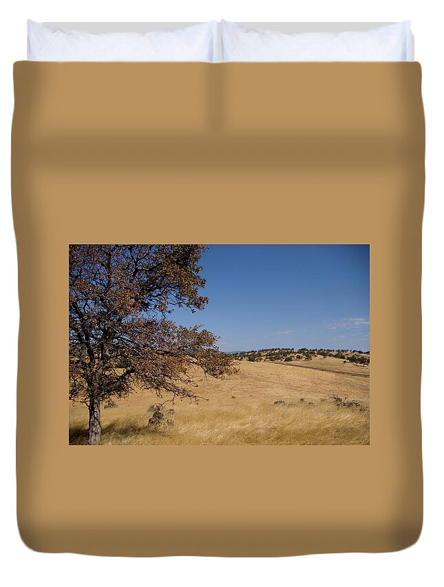 Grass Duvet Cover featuring the photograph Oak in foothills by Jim And Emily Bush