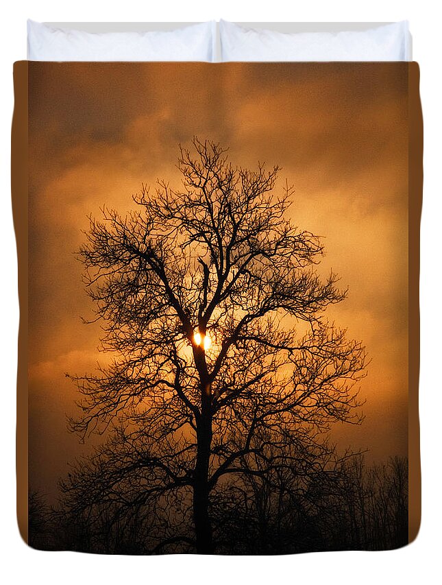 Oak Tree Duvet Cover featuring the photograph Oak Tree at Sunrise by Michael Dougherty