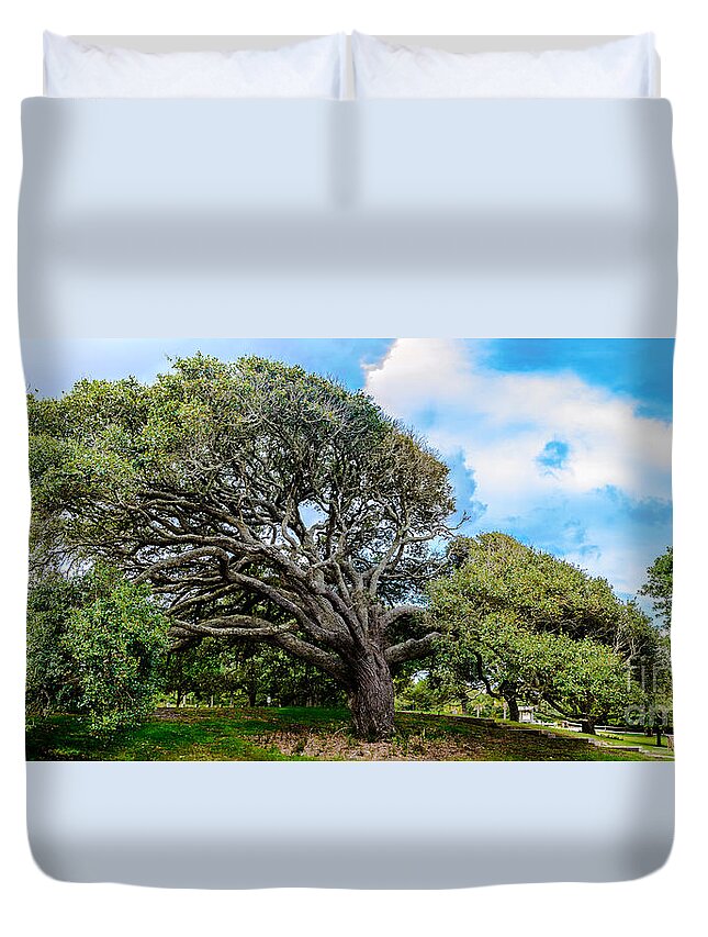 Interior Duvet Cover featuring the photograph Ocean Breeze by David Smith