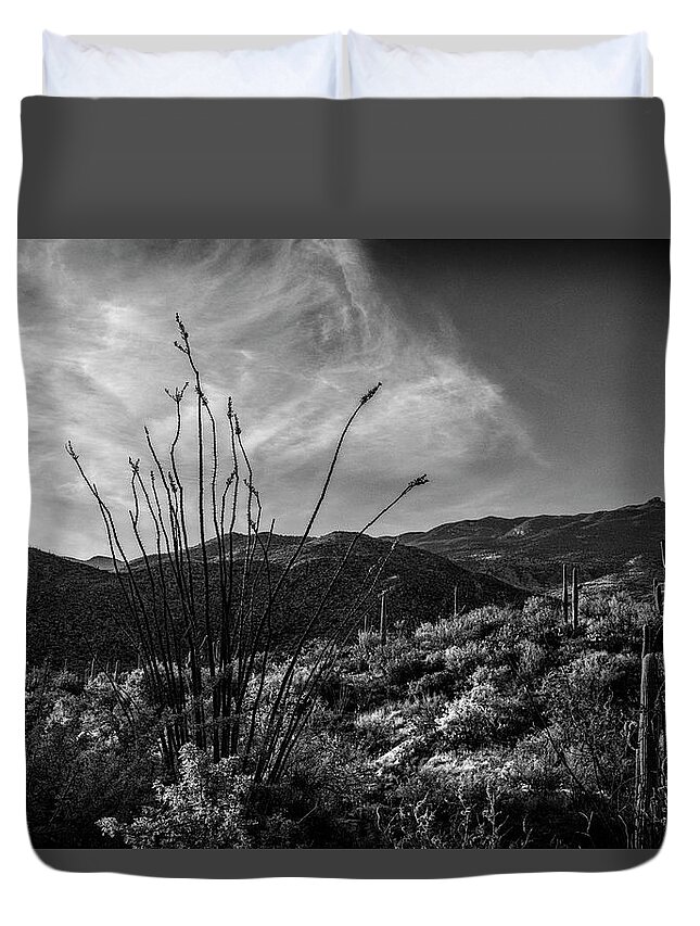 Ocotillo Duvet Cover featuring the photograph Ocotillo at Sunrise by Sandra Selle Rodriguez