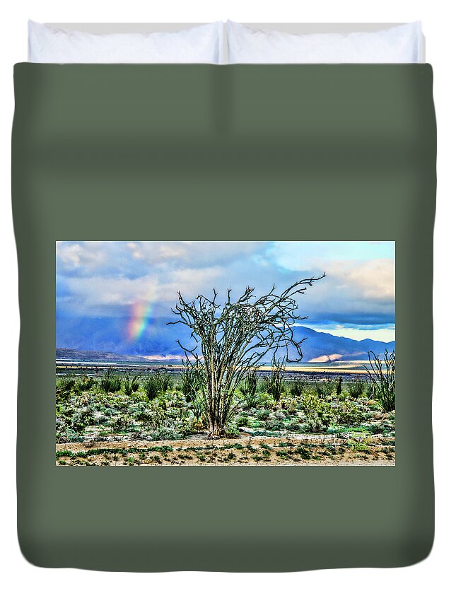 Ocotillo Cactus Rainbow Duvet Cover featuring the digital art Ocotillo Cactus Rainbow by Daniel Hebard