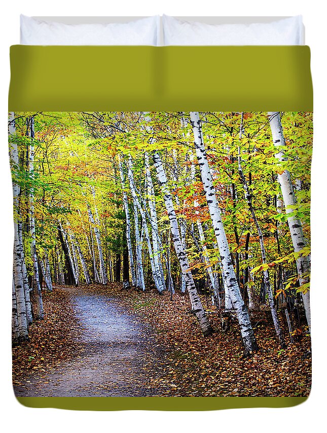 Autumn Duvet Cover featuring the photograph October Birch Forest by Mircea Costina Photography