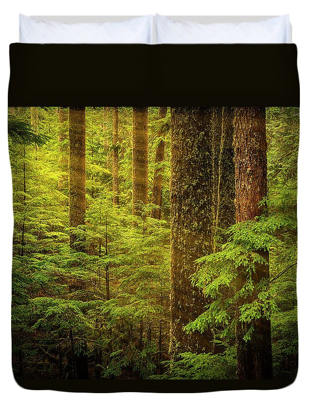 Forest Duvet Cover featuring the photograph Of Elves and Faeries by Dan Mihai