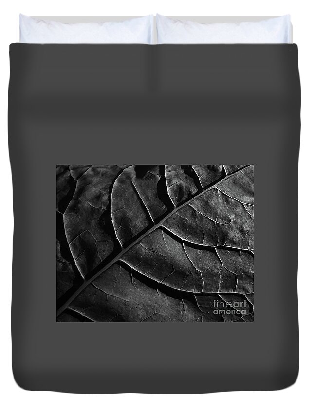 Plants Duvet Cover featuring the photograph Of Mountains And Valleys by Skip Willits