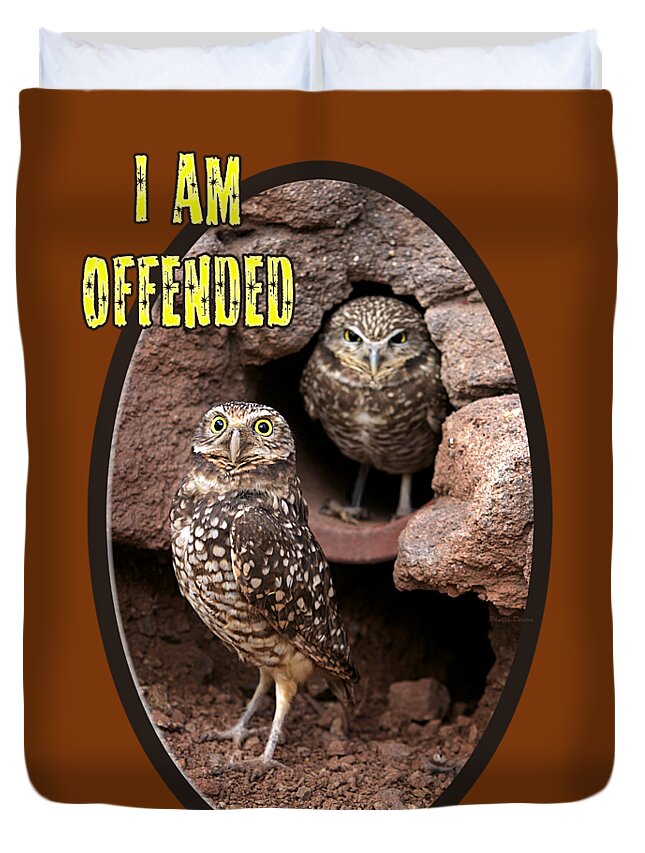 Owl Duvet Cover featuring the photograph Offended Owl by Phyllis Denton