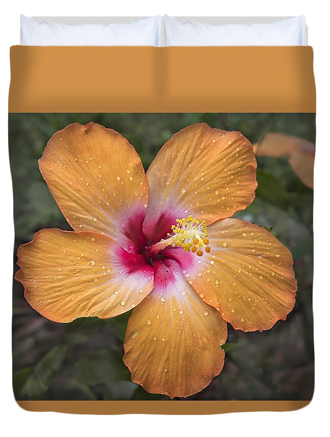 Hibiscus Duvet Cover featuring the photograph Oh No It's Raining Again by Louise Hill