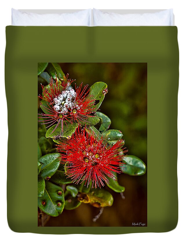 Hawaii; Big Island; Tropical; Flowers; Tropical Flowers; Ohia Flower; White Seed Pods; Red Flower Duvet Cover featuring the photograph Ohia Flower by Mark Fuge