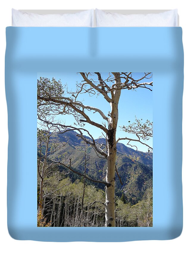 Aspen Duvet Cover featuring the photograph Old Aspen by Tammy Stoner