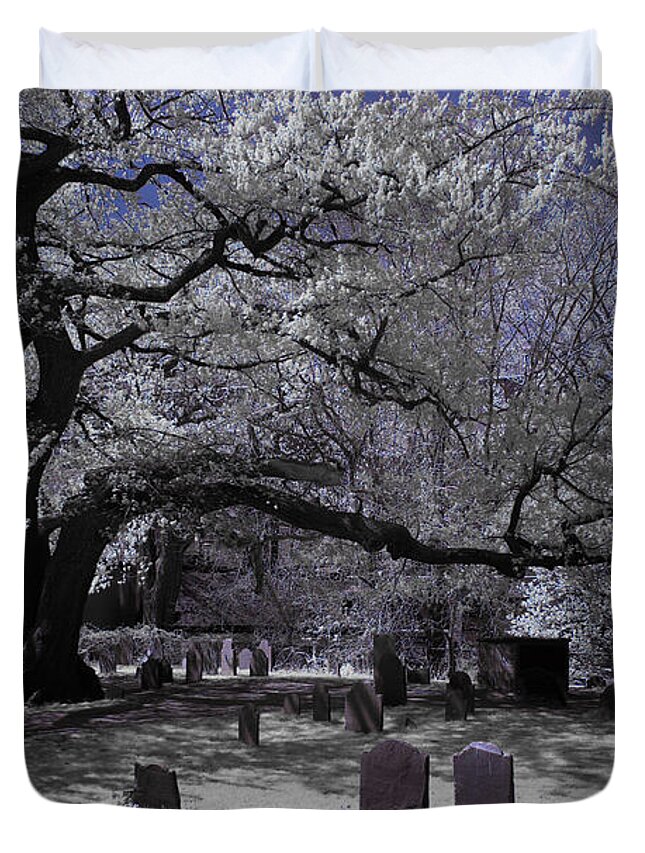 Salem Duvet Cover featuring the photograph Old oak at Burying point by Jeff Folger