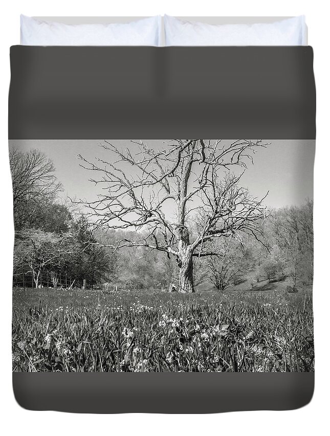 5dmkiv Duvet Cover featuring the photograph Old Oak by Mark Mille