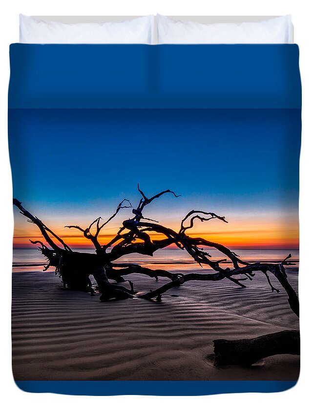 Florida Duvet Cover featuring the photograph Old Oak New Day by Debra and Dave Vanderlaan