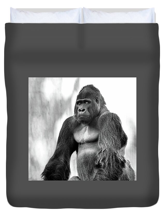 Animal Portrait Duvet Cover featuring the photograph Old Soul by Kandy Hurley