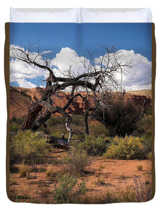 Tree Duvet Cover featuring the photograph Old Tree in Capital Reef National Park by Cindy Murphy - NightVisions