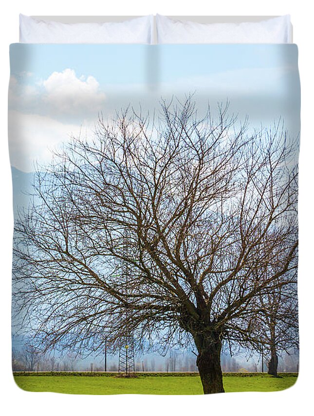 Dubino Duvet Cover featuring the photograph Old Tree by Pavel Melnikov
