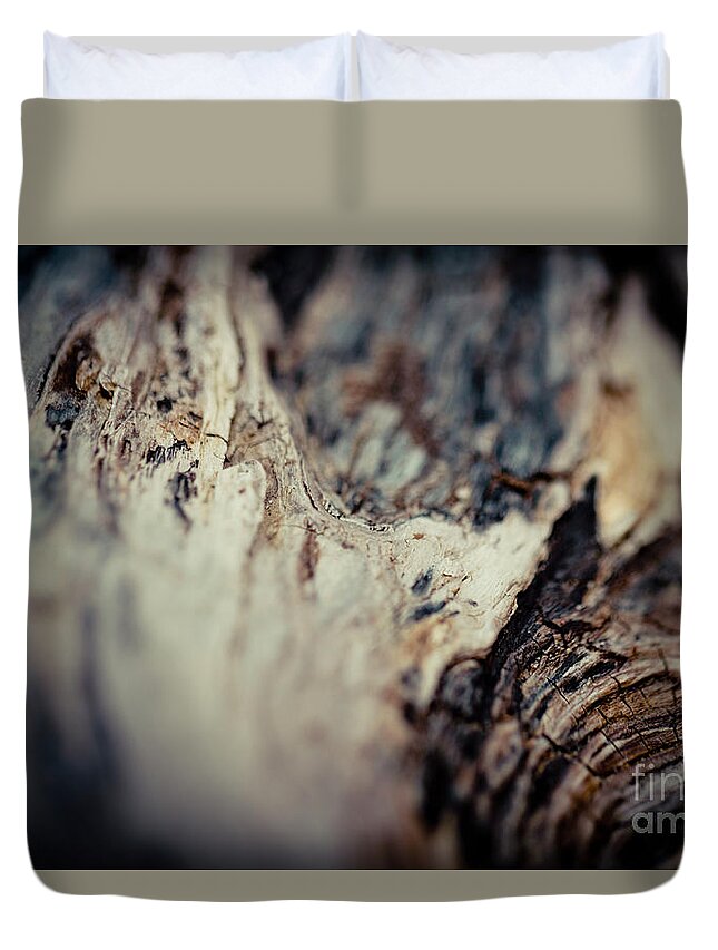 Backgrounds Duvet Cover featuring the photograph Old Wood by Raimond Klavins