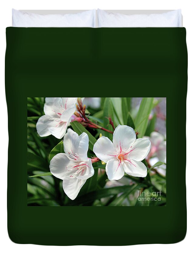 Oleander Duvet Cover featuring the photograph Oleander Harriet Newding 3 by Wilhelm Hufnagl
