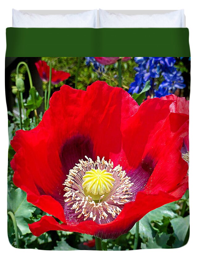 Olympia Duvet Cover featuring the photograph Olympia Poppy by Robert Meyers-Lussier