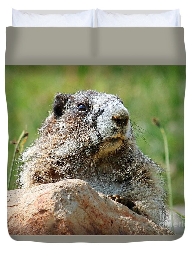 Olympic Marmot Duvet Cover featuring the photograph Olympic Marmot by Martin Konopacki