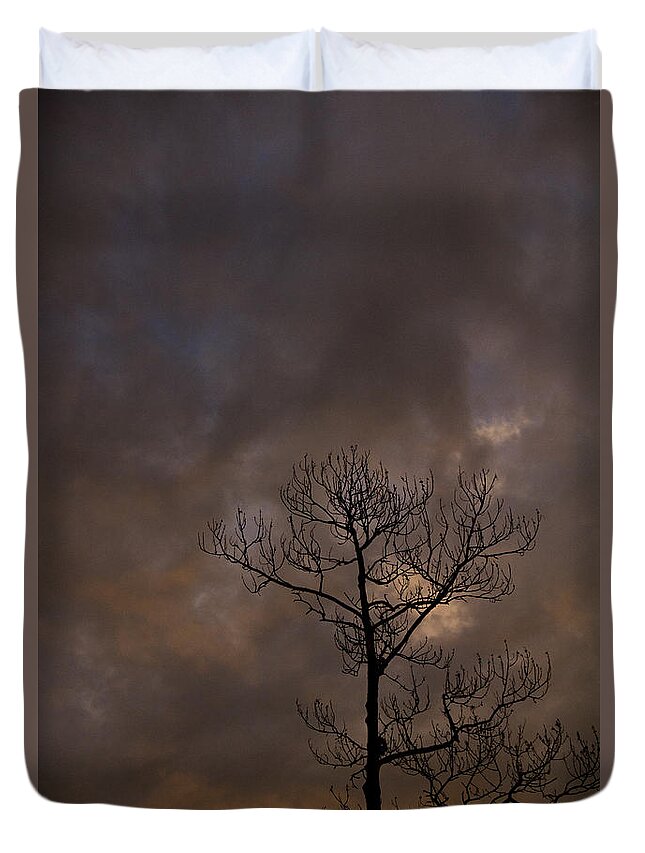 Tree Duvet Cover featuring the photograph Ominous by Nancy Dinsmore