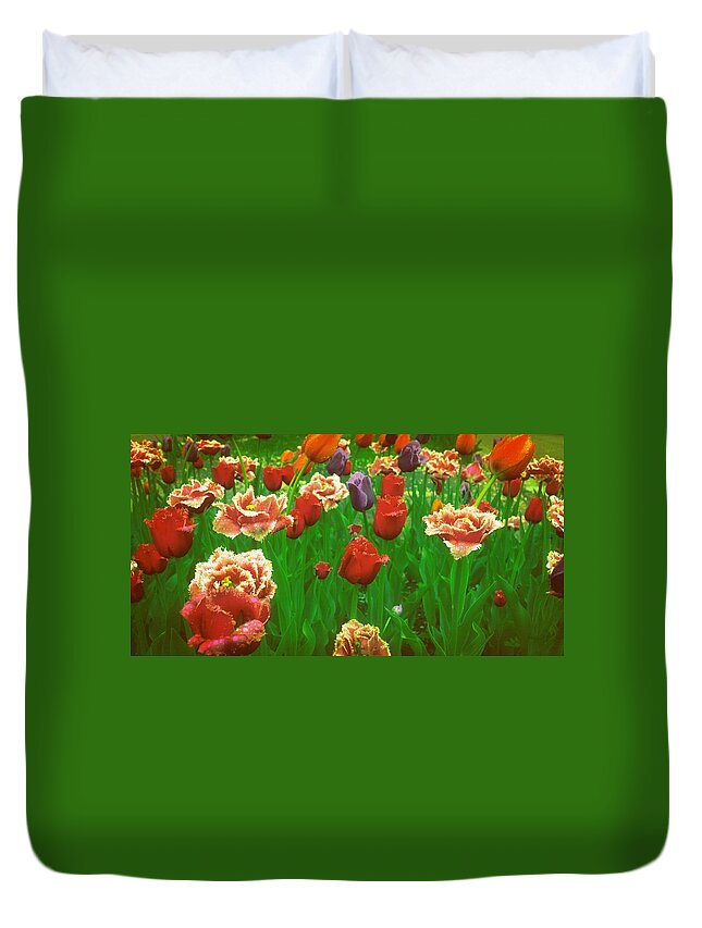 Tulips Duvet Cover featuring the photograph On a Bed of Green by Michelle Calkins