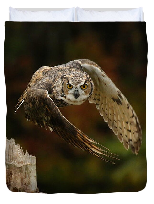 Great Horned Owl Duvet Cover featuring the photograph On A Mission by Heather King