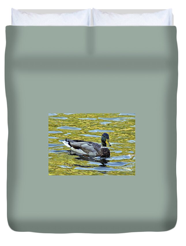 Duck Duvet Cover featuring the photograph On Golden Pond by Lydia Holly