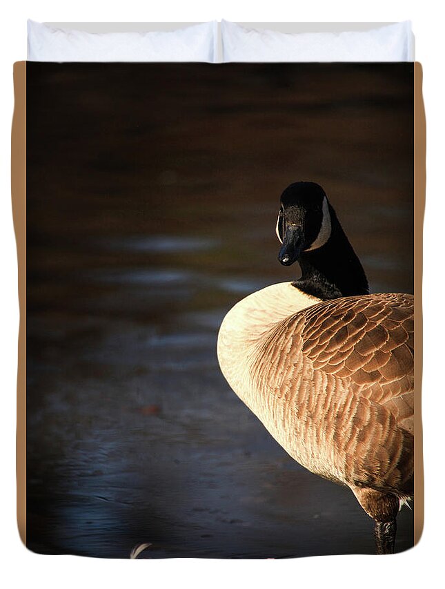 At Ease Duvet Cover featuring the photograph On Ice by Karol Livote