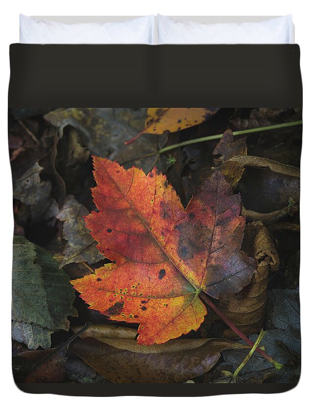 Andrew Pacheco Duvet Cover featuring the photograph On The Forest Floor by Andrew Pacheco