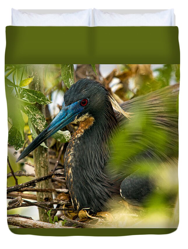 Tri-color Heron Duvet Cover featuring the photograph On The Nest by Christopher Holmes