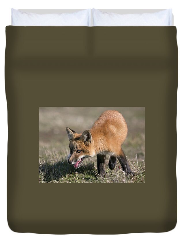 Fox Duvet Cover featuring the photograph On The Prowl by Elvira Butler
