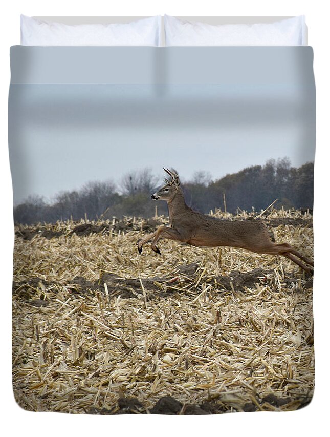 On The Run Duvet Cover featuring the photograph On The Run by Kathy M Krause