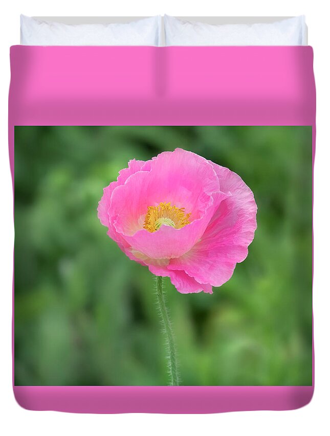 Poppy Duvet Cover featuring the photograph On the runway. by Usha Peddamatham