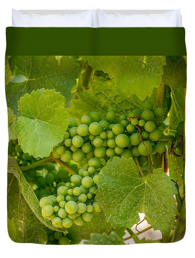 Grapes Duvet Cover featuring the photograph On the Vine by Derek Dean