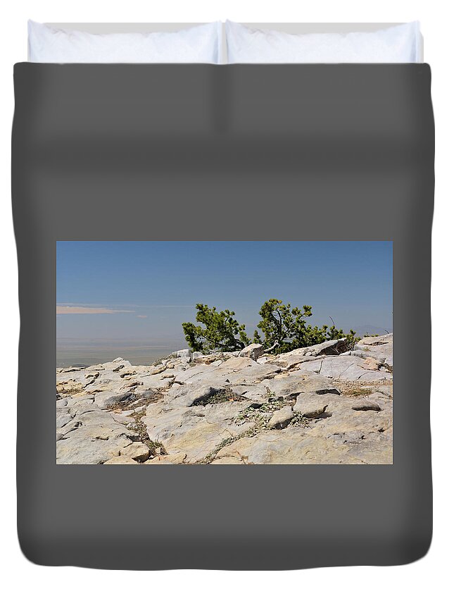 Landscape Duvet Cover featuring the photograph On Top of Sandia Mountain by Ron Cline