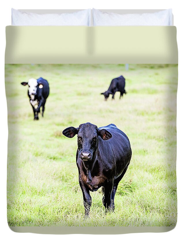 Cattle Duvet Cover featuring the photograph One of the Boys by Scott Pellegrin