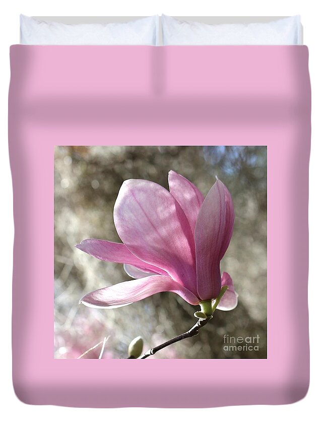Pink Magnolia Duvet Cover featuring the photograph One Pretty Pink Magnolia Square by Carol Groenen