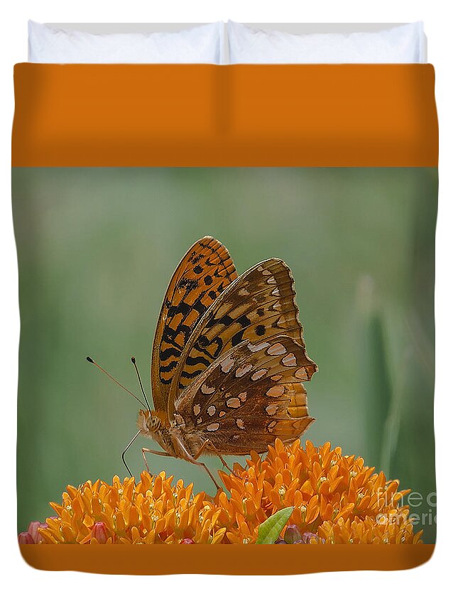 Insects Duvet Cover featuring the photograph One Singular Sensation by Lili Feinstein