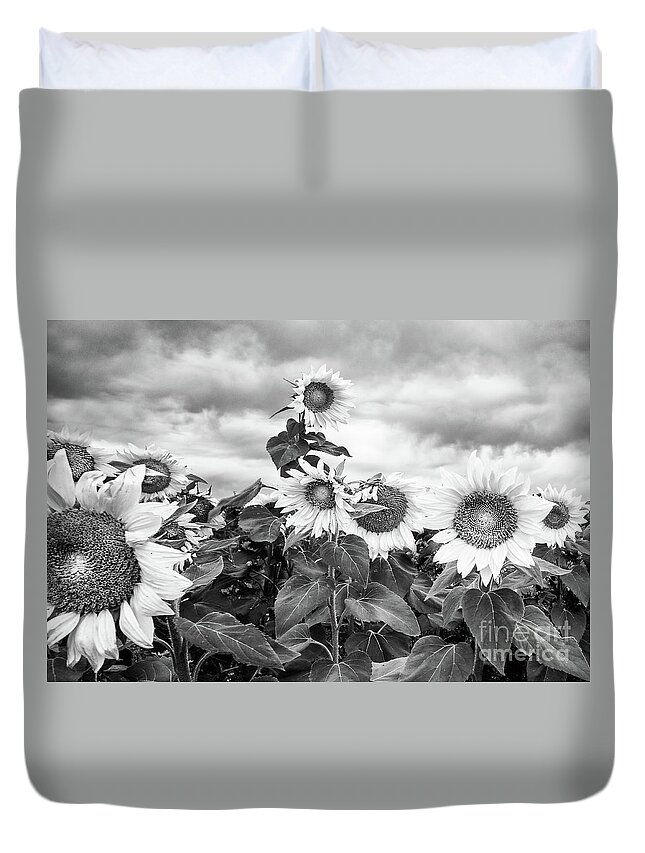 Landscape Duvet Cover featuring the photograph One Stands Tall by Jim Rossol