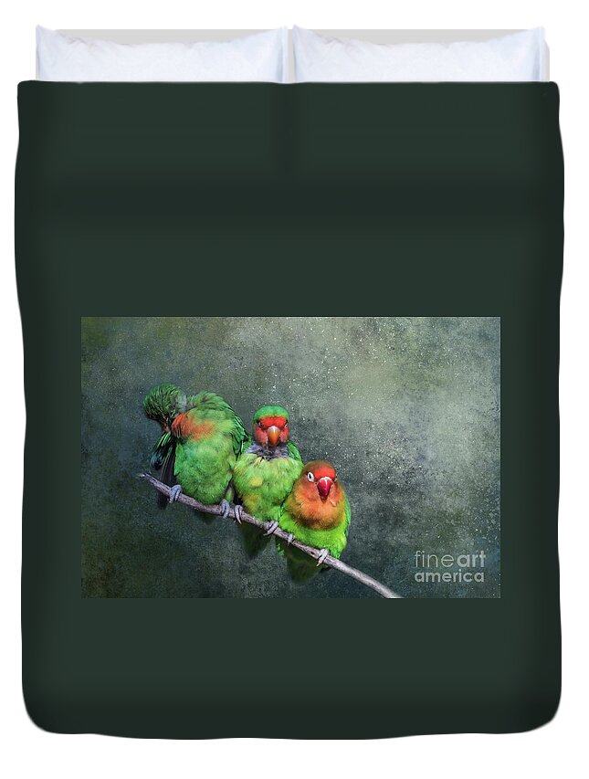 Lovebirds Duvet Cover featuring the photograph One,Two,Three... by Eva Lechner
