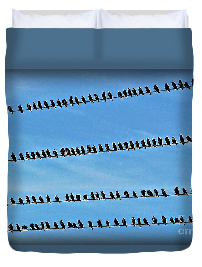 Online Birding Duvet Cover featuring the photograph Online Birding by Kathy M Krause
